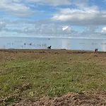 Nyaraló Metsaaeaere Uulu