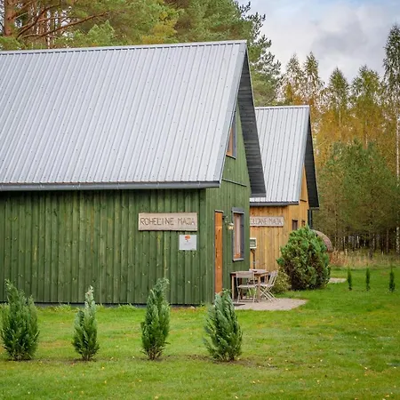 Metsaaeaere Holiday home