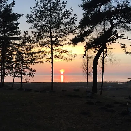 Metsaaeaere Puhkemaja *