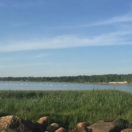 Metsaääre