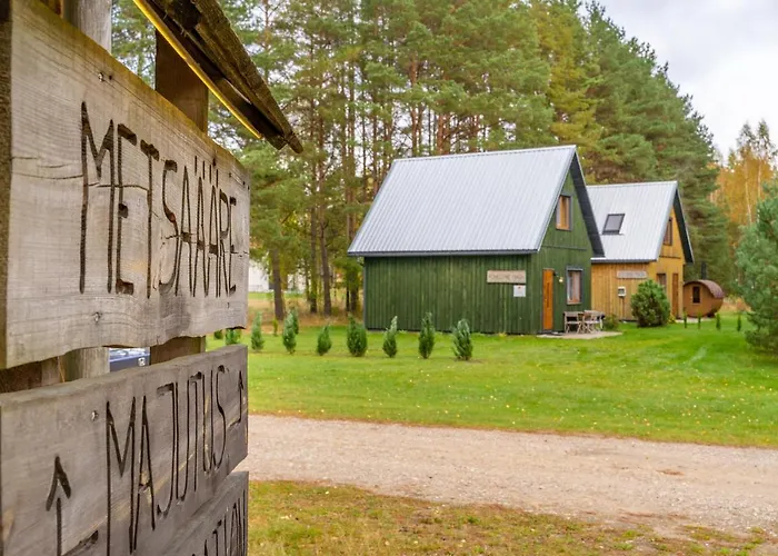 Metsaaeaere Holiday home Uulu