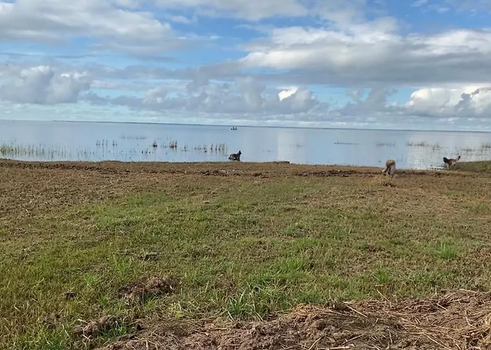 Prázdninový dům Metsaaeaere Uulu