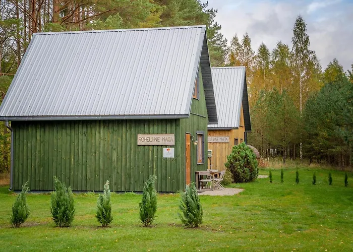 Metsaaeaere Holiday home