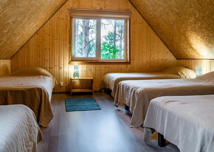 Nyaraló Metsaaeaere