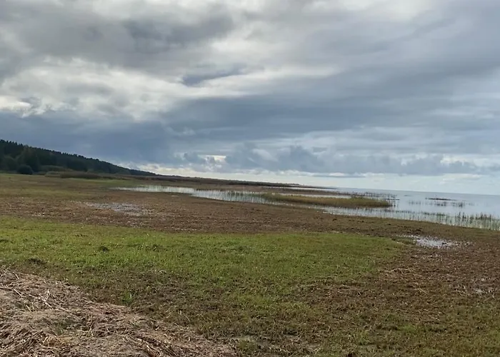 Metsaaeaere Holiday home