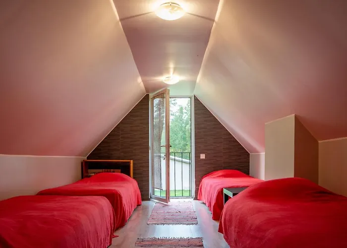 Metsaaeaere Holiday home *