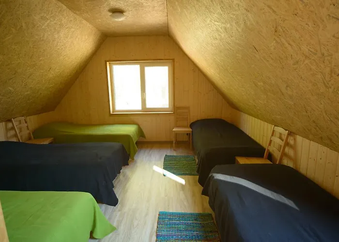 Metsaaeaere Holiday home *