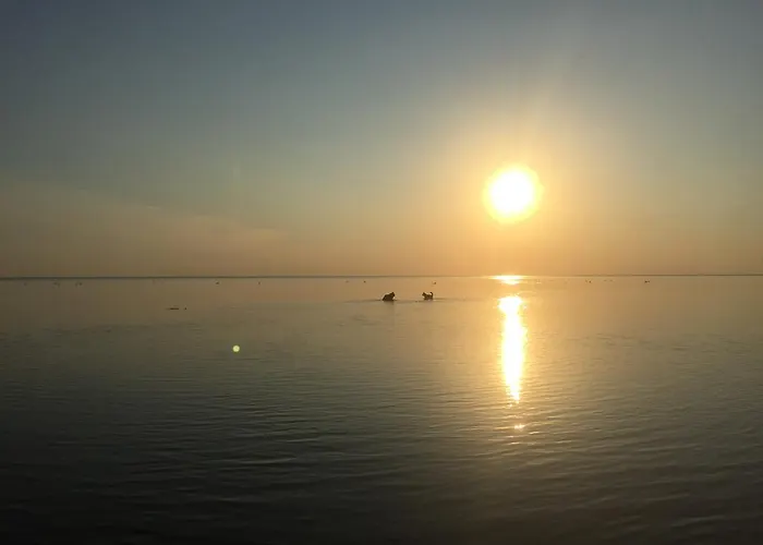 Prázdninový dům Metsaaeaere Uulu